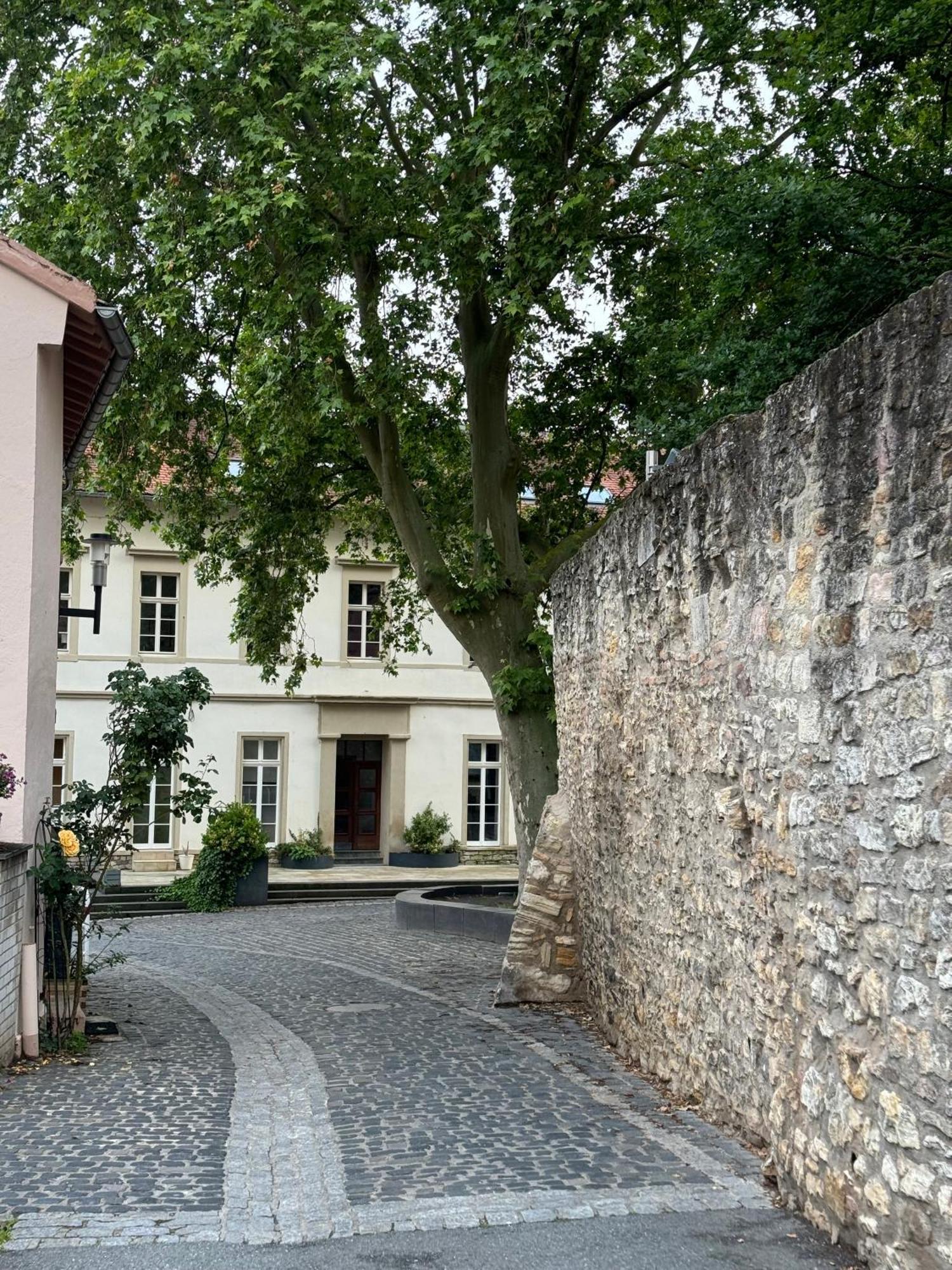 Ferienwohnung Rheinblick-Oase Oppenheim Exterior foto
