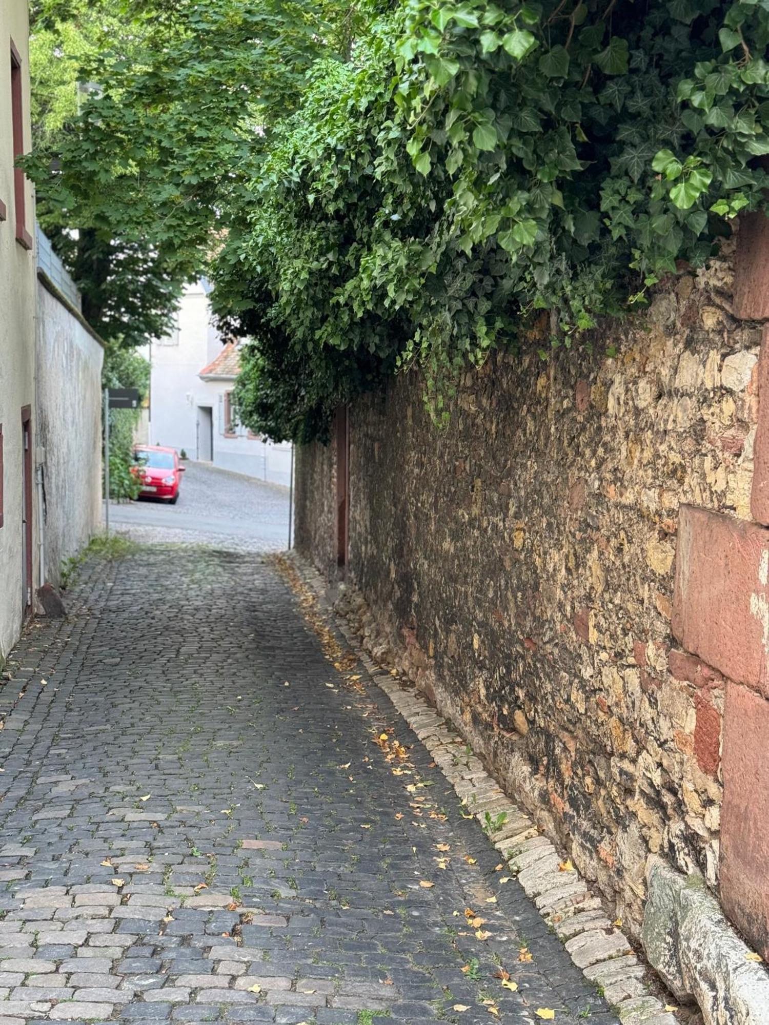 Ferienwohnung Rheinblick-Oase Oppenheim Exterior foto